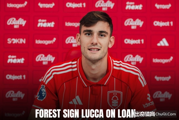 孙颖莎林高,远响应文明,观赛倡导,2026世界杯,世界杯赛程,球队动态,举办城市,赛事分析