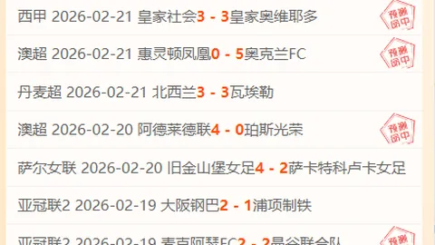大乐透期号分析：专家预测猛龙抢七胜算与骑士决战格局